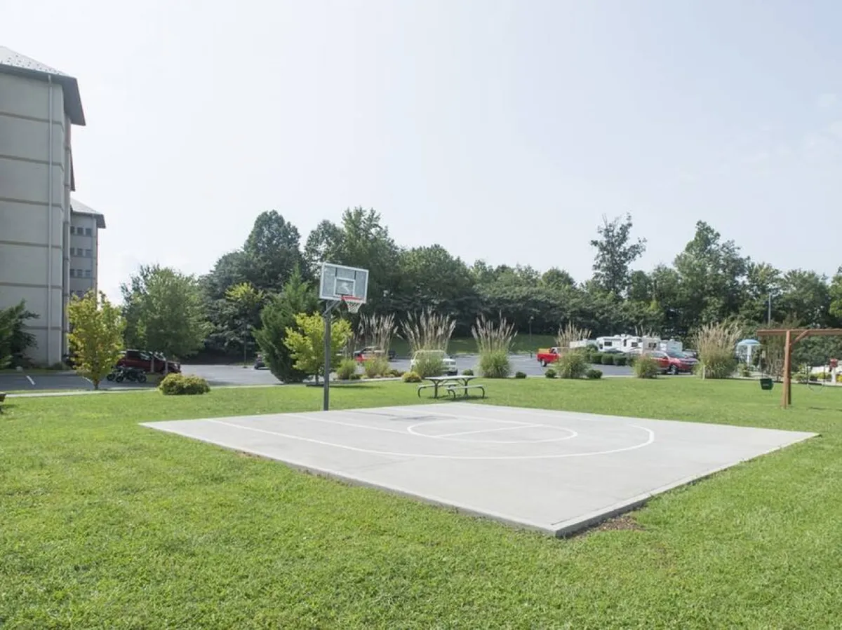 A grassy outdoor sports area featuring a basketball hoop, adjacent open green space, and a park bench for spectators or relaxation. The scene is lively and welcoming, supporting friendly games and community gatherings.